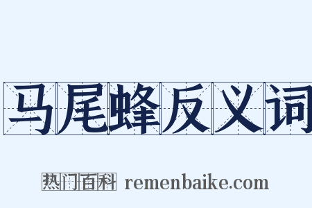 马尾蜂反义词是什么意思的图片